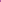 Full view of the large purple Moroccan rug